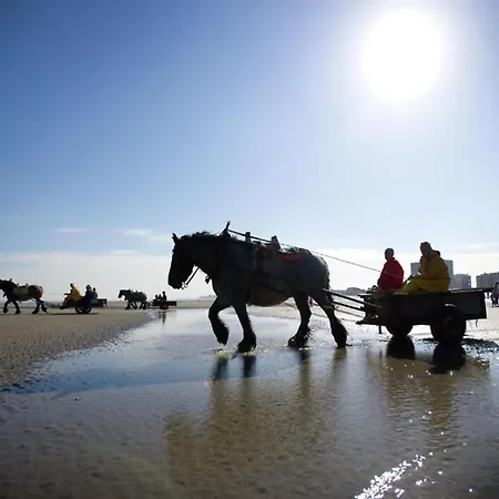 In With Sea Views Lejlighed *