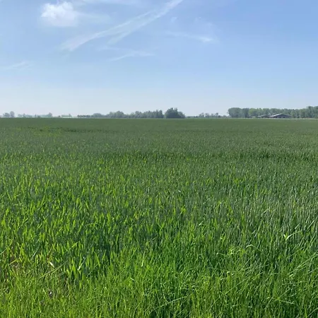 In With Sea Views Lejlighed Nieuwpoort